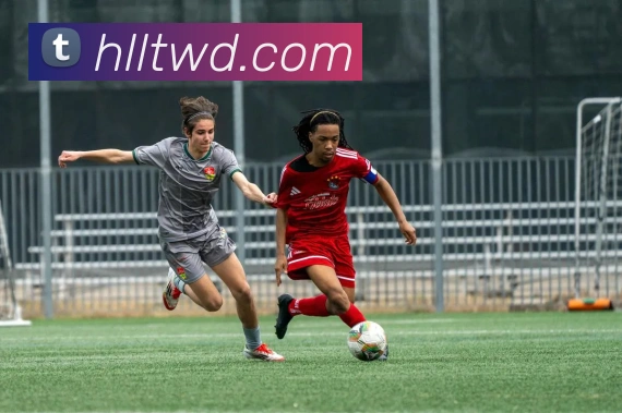 问鼎娱乐发展历程